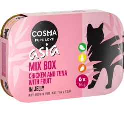 Cosma Asia hyytelössä -säästöpakkaus 24 x 170 g