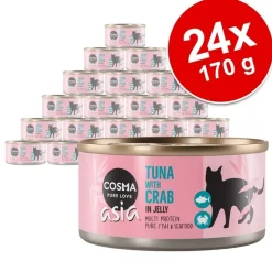 Cosma Asia hyytelössä -säästöpakkaus 24 x 170 g