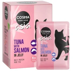 Cosma Asia Pouches 6 x 100 g