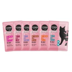 Cosma Asia Pouches 6 x 100 g