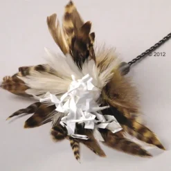 Crinkle Dancer