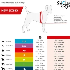 Curli Vest Clasp Air-Mesh -valjaat, musta