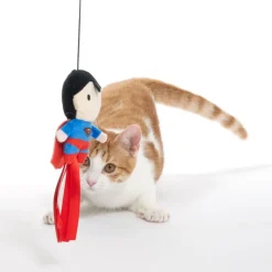 DC Superman -onkilelu kissalle