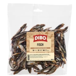 Dibo kuivakala