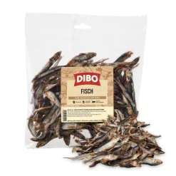 Dibo kuivakala