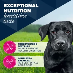 Eukanuba Adult Rich in Turkey with Carrots