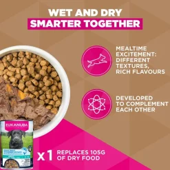 Eukanuba Grain Free Adult Small & Medium Breed karitsa