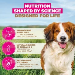 Eukanuba Grain Free Adult Small & Medium Breed karitsa