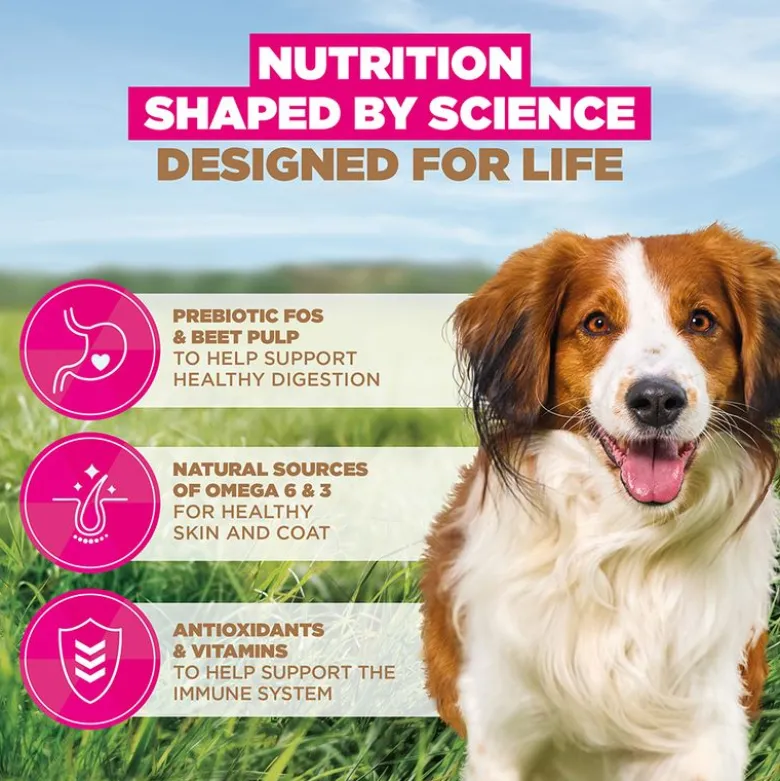 Eukanuba Grain Free Adult Small & Medium Breed karitsa
