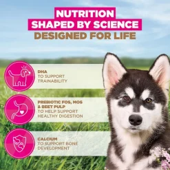 Eukanuba Grain Free Puppy Large & Giant Breed merikala