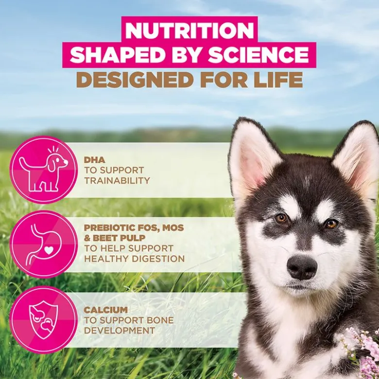 Eukanuba Grain Free Puppy Large & Giant Breed merikala