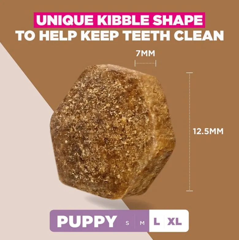 Eukanuba Grain Free Puppy Large & Giant Breed merikala
