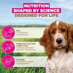 Eukanuba Grain Free Puppy Small & Medium Breed merikala