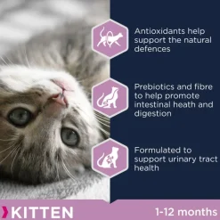 Eukanuba Healthy Start Kitten