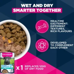 Eukanuba Premium Nutrition Adult Large & Giant Breed karitsa & riisi