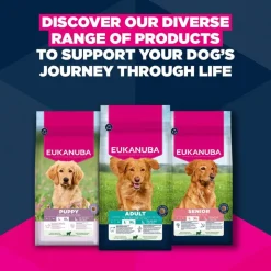Eukanuba Premium Nutrition Adult Large & Giant Breed karitsa & riisi
