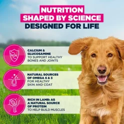 Eukanuba Premium Nutrition Adult Large & Giant Breed karitsa & riisi