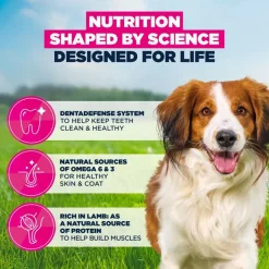 Eukanuba Premium Nutrition Adult Small & Medium Breed karitsa & riisi