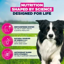 Eukanuba Premium Nutrition Adult Medium Breed kana