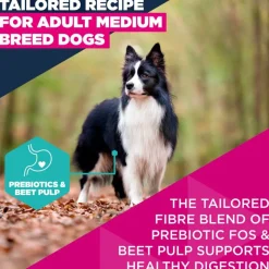 Eukanuba Premium Nutrition Adult Medium Breed kana