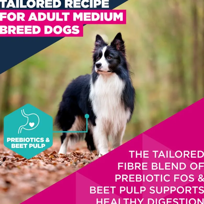 Eukanuba Premium Nutrition Adult Medium Breed kana