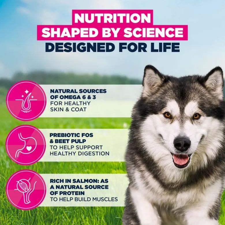 Eukanuba Premium Nutrition Adult Large & Giant Breed lohi