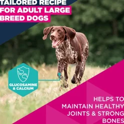 Eukanuba Premium Nutrition Adult Large & Giant Breed lohi