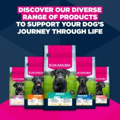 Eukanuba Premium Nutrition Mature Large & Giant Breed kana