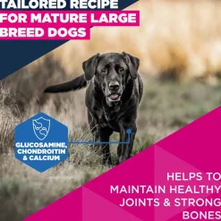 Eukanuba Premium Nutrition Mature Large & Giant Breed kana