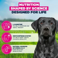 Eukanuba Premium Nutrition Mature Large & Giant Breed kana
