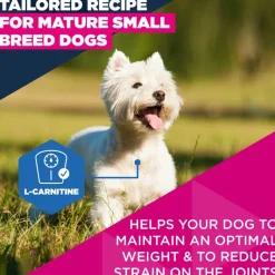 Eukanuba Premium Nutrition Mature Small Breed kana