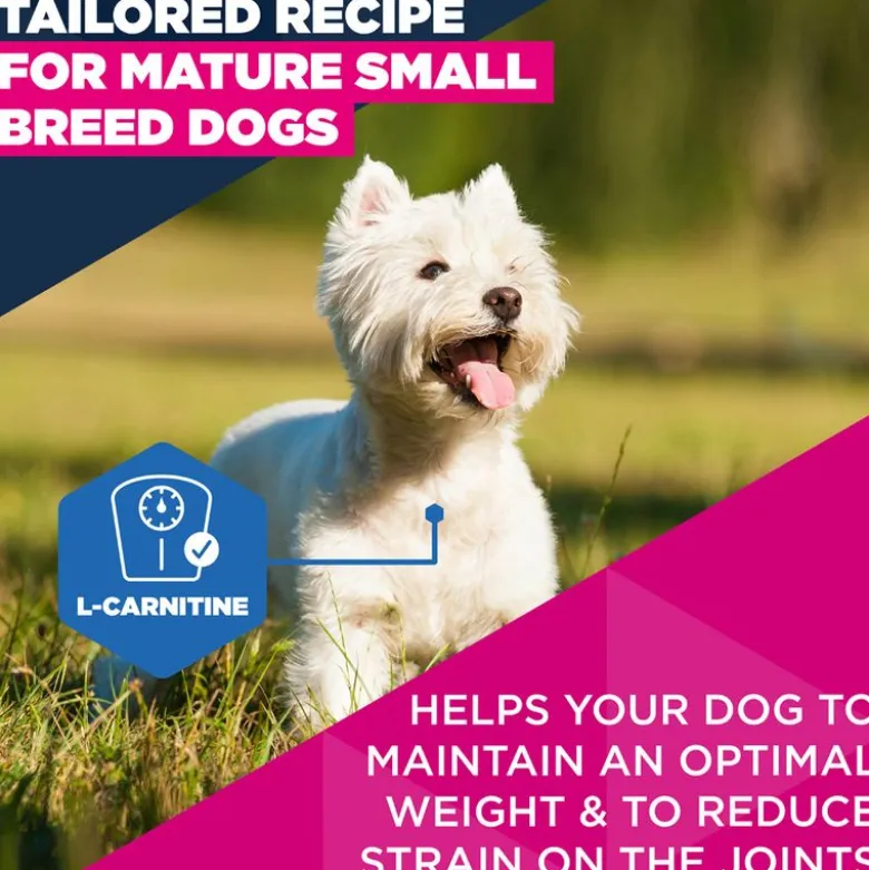 Eukanuba Premium Nutrition Mature Small Breed kana