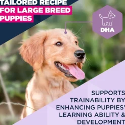 Eukanuba Premium Nutrition Puppy Large & Giant Breed karitsa & riisi