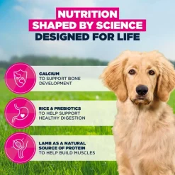 Eukanuba Premium Nutrition Puppy Large & Giant Breed karitsa & riisi