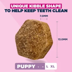 Eukanuba Premium Nutrition Puppy Large & Giant Breed karitsa & riisi