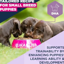 Eukanuba Premium Nutrition Puppy Small Breed kana