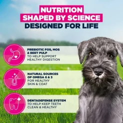 Eukanuba Premium Nutrition Puppy Small Breed kana