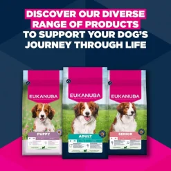 Eukanuba Premium Nutrition Senior Small & Medium Breed karitsa & riisi
