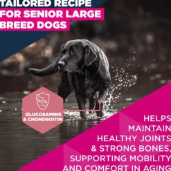 Eukanuba Premium Nutrition Senior Large & Giant Breed kana