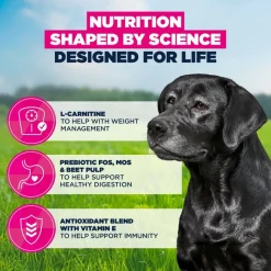 Eukanuba Premium Nutrition Senior Large & Giant Breed kana