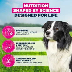 Eukanuba Premium Nutrition Senior Medium Breed kana