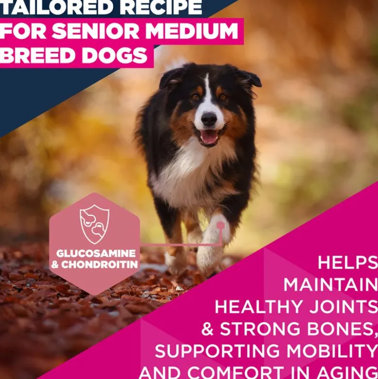 Eukanuba Premium Nutrition Senior Medium Breed kana