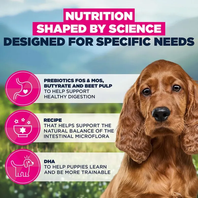 Eukanuba Special Care Sensitive Digestion Puppy kana ja kalkkuna