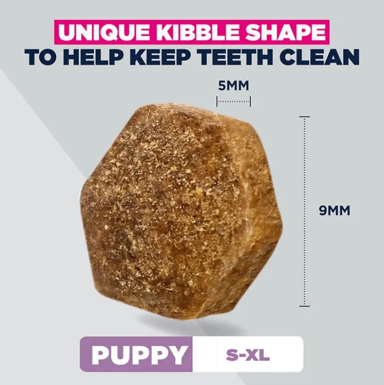 Eukanuba Special Care Sensitive Digestion Puppy kana ja kalkkuna