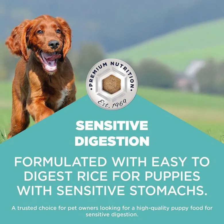 Eukanuba Special Care Sensitive Digestion Puppy kana ja kalkkuna