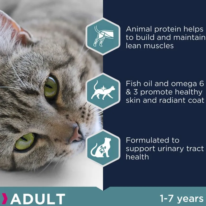 Eukanuba Sterilised / Weight Control Adult