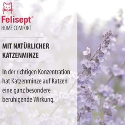 Felisept Home Comfort -rauhoitussuihke