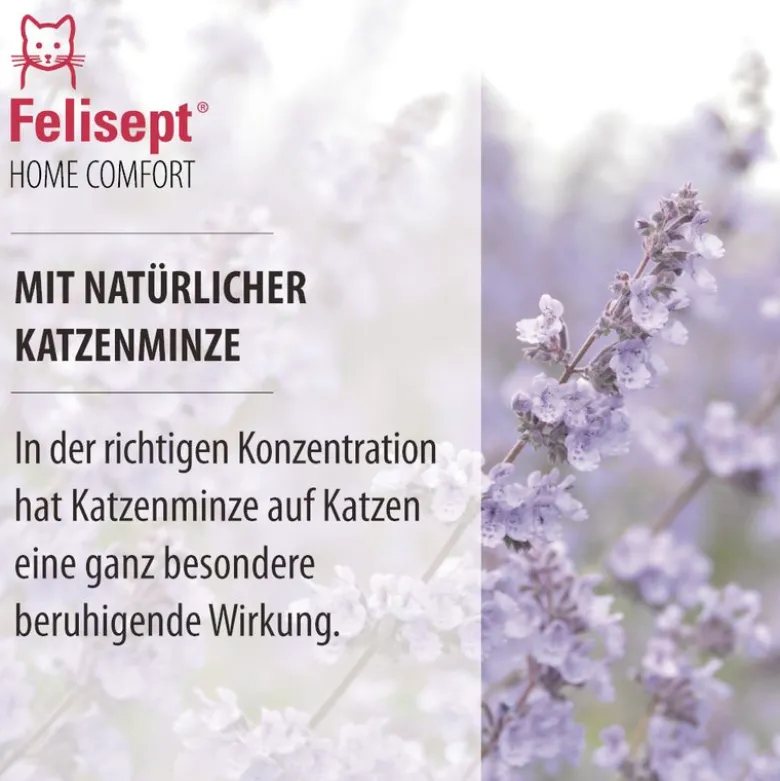 Felisept Home Comfort -rauhoitussuihke