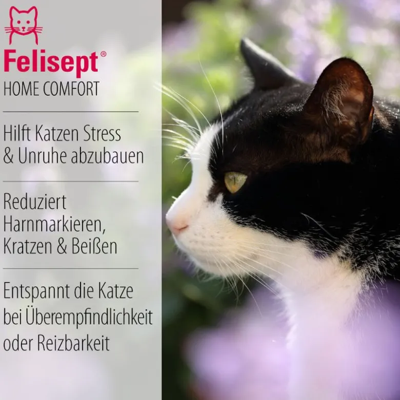 Felisept Home Comfort -rauhoitussuihke
