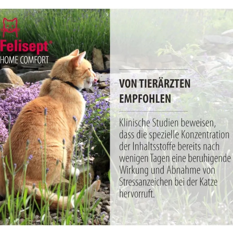 Felisept Home Comfort Set - kissan rauhoittamiseen